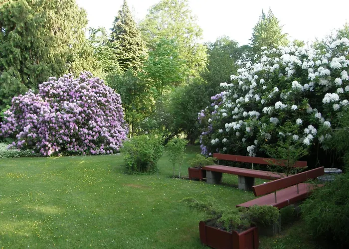 Cedar Wood Lodge Bed & Breakfast Inn