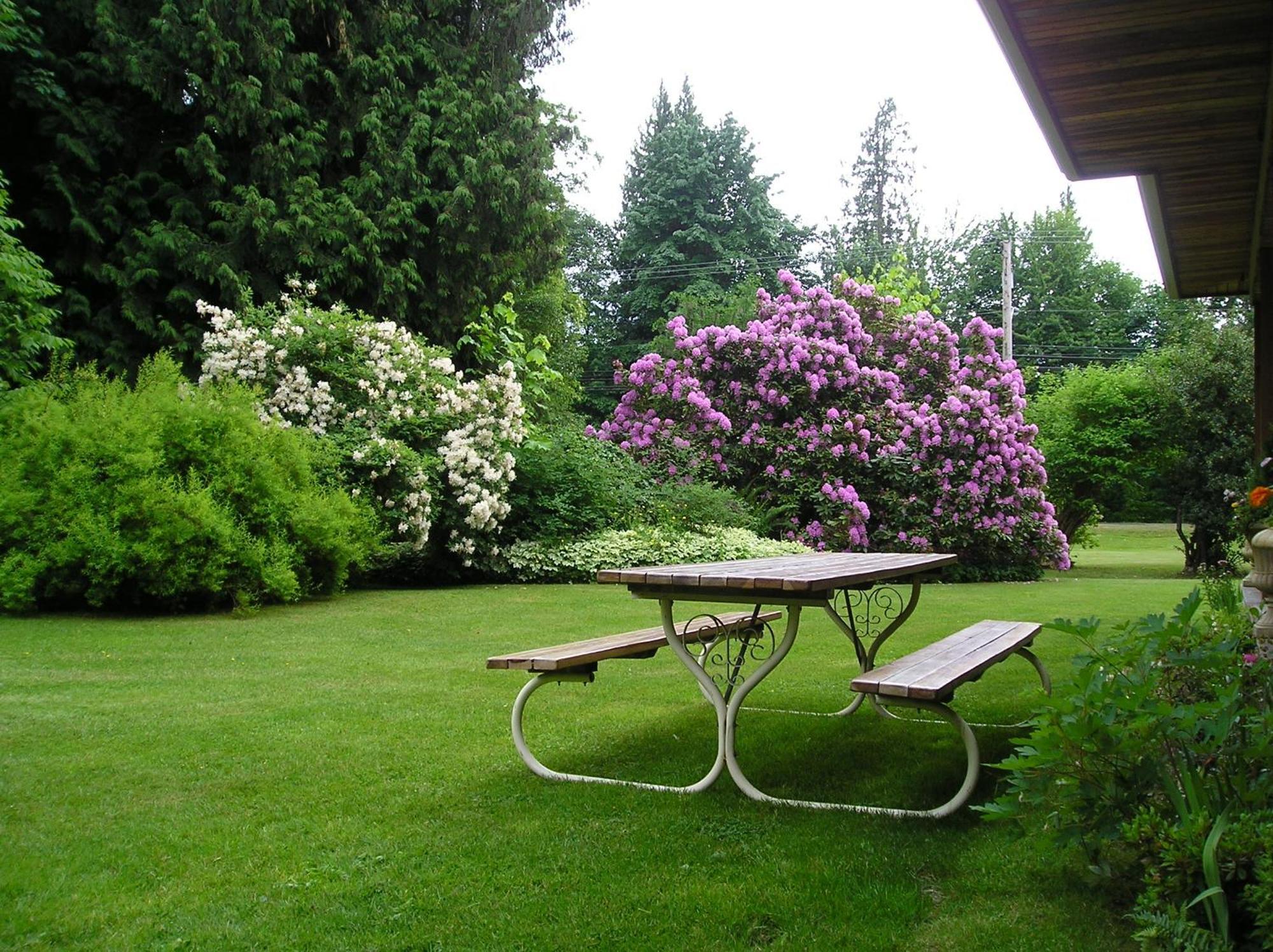 Cedar Wood 4*