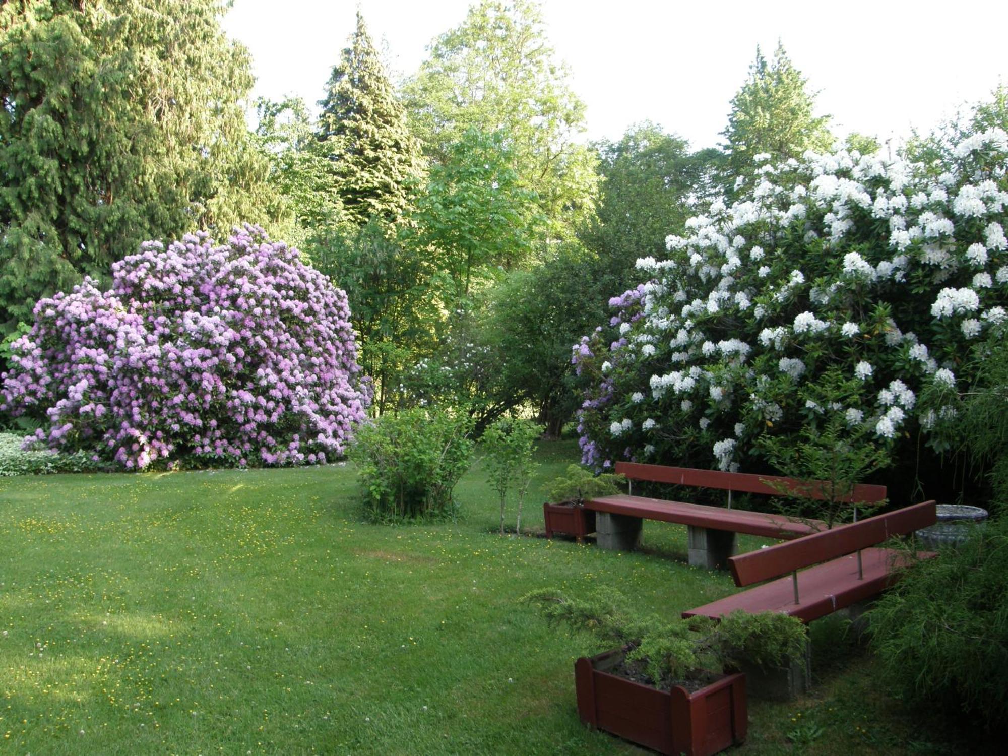 Cedar Wood Bed & Breakfast 4*