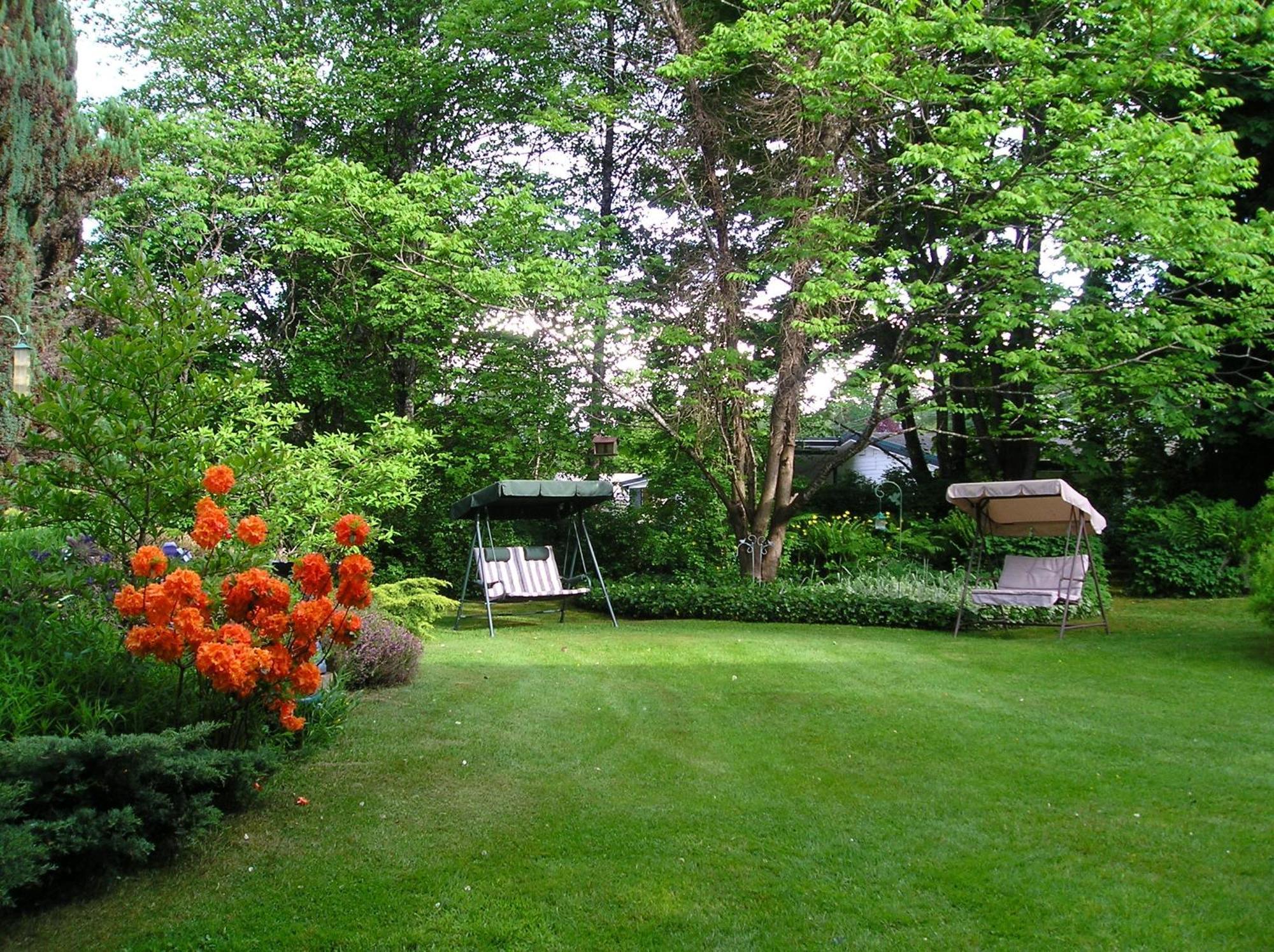 Bed & Breakfast Cedar Wood 4*
