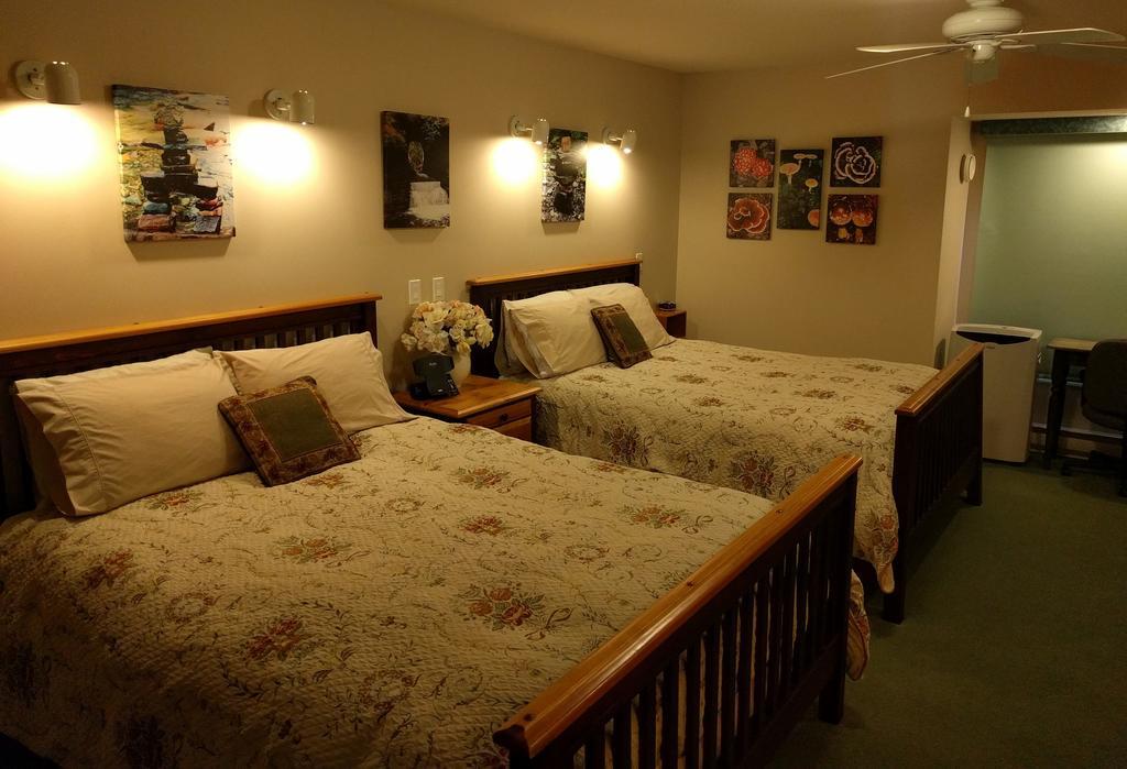 Cedar Wood 4*